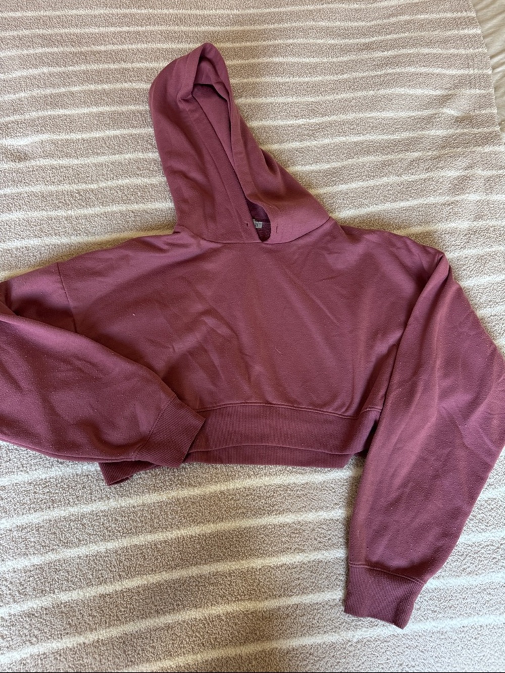 Forever 21 Cropped Hoodie in Mauve Plum